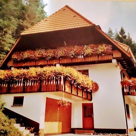 Ferienwohungen Im Kuchersbach Hornberg Bagian luar foto