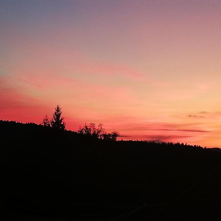Ferienwohungen Im Kuchersbach Hornberg Bagian luar foto