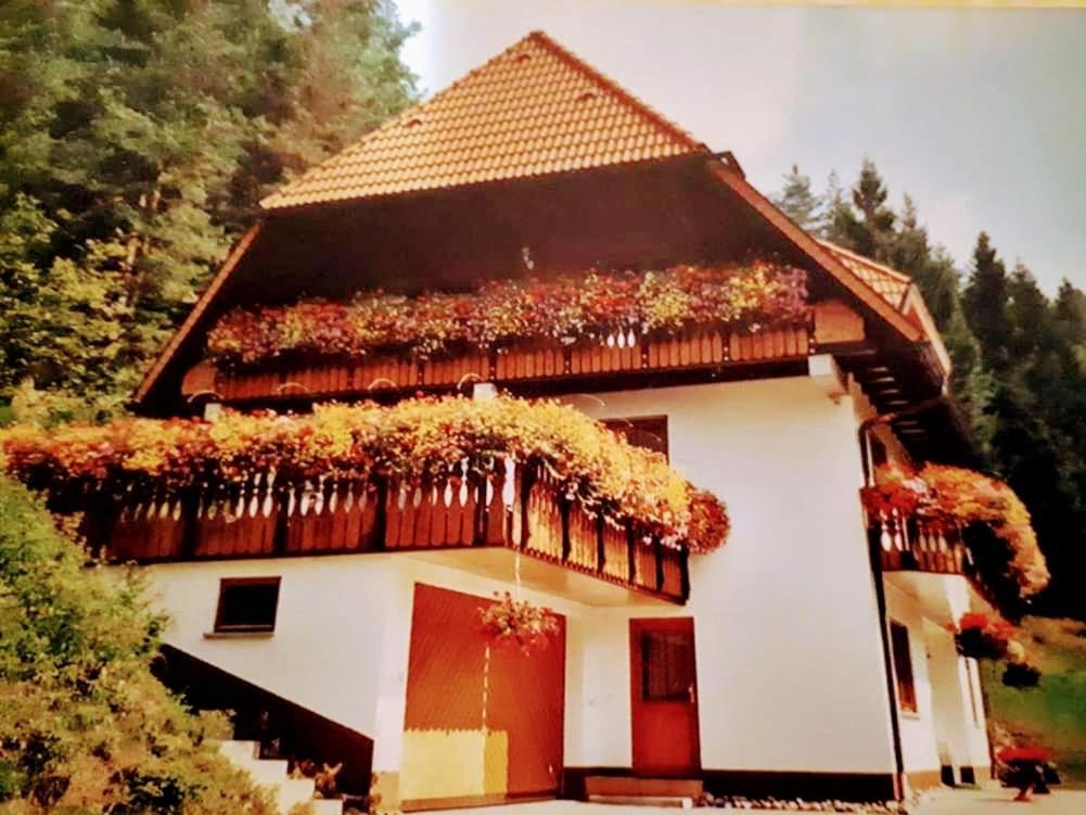 Ferienwohungen Im Kuchersbach Hornberg Bagian luar foto