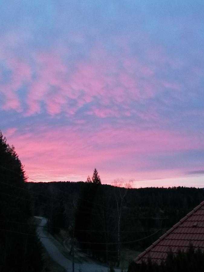 Ferienwohungen Im Kuchersbach Hornberg Bagian luar foto