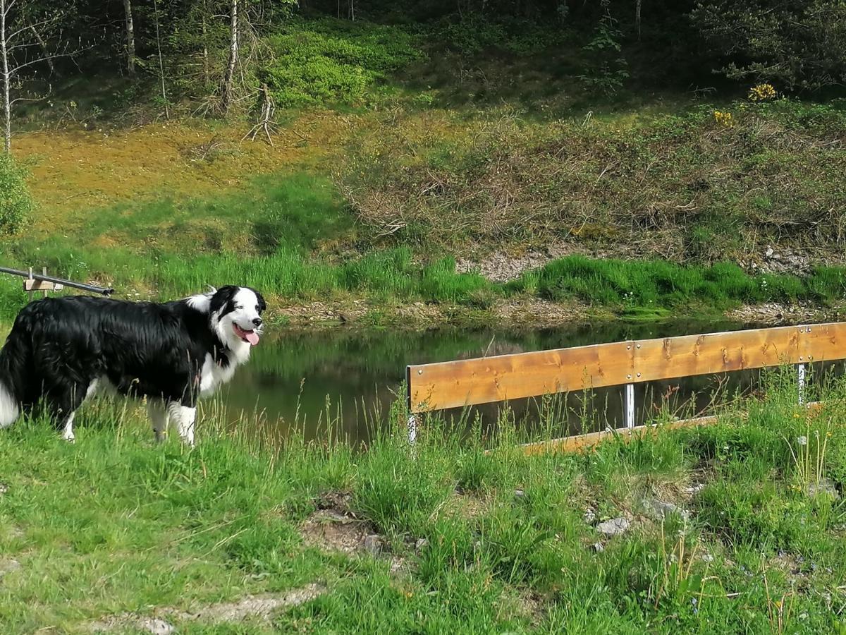 Ferienwohungen Im Kuchersbach Hornberg Bagian luar foto