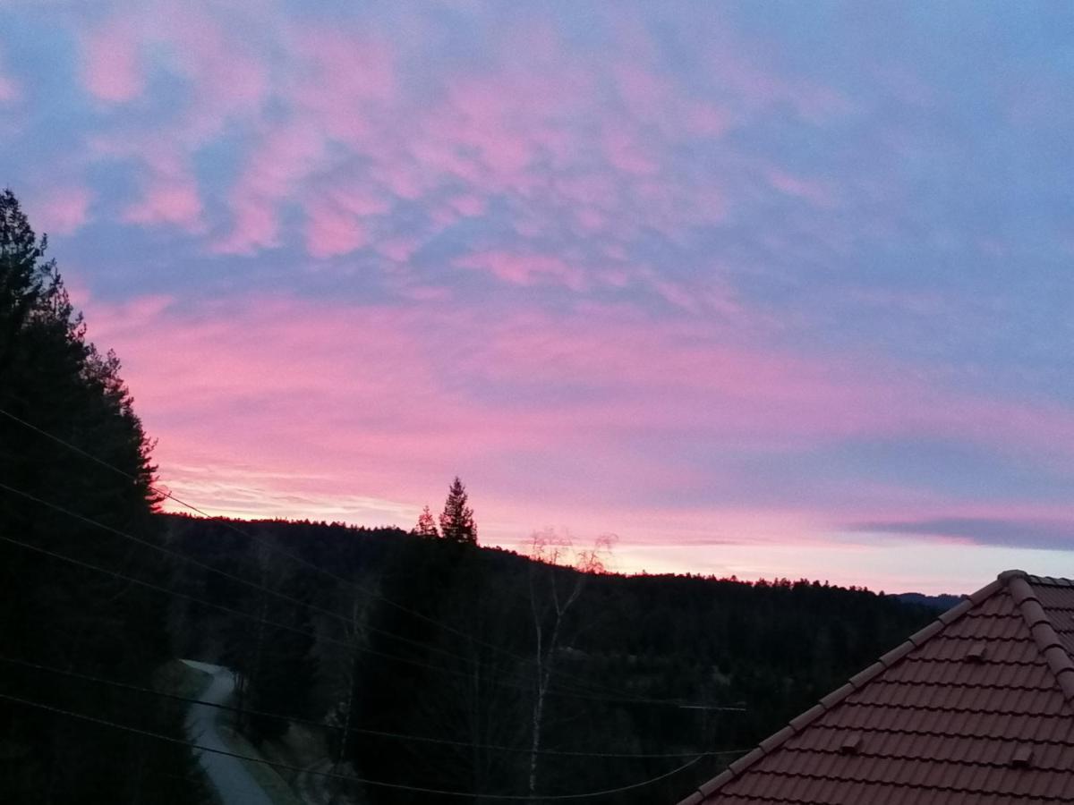 Ferienwohungen Im Kuchersbach Hornberg Bagian luar foto
