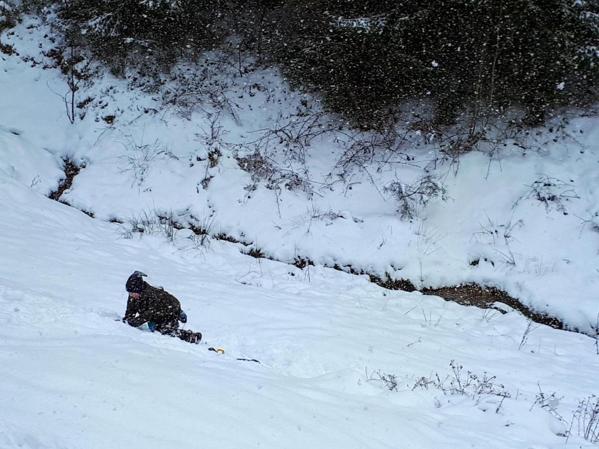 Ferienwohungen Im Kuchersbach Hornberg Bagian luar foto