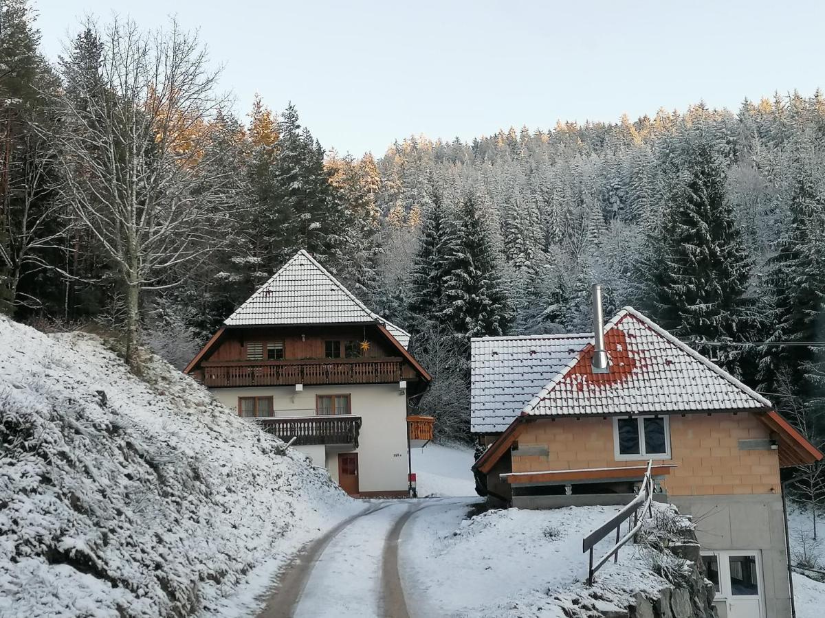Ferienwohungen Im Kuchersbach Hornberg Bagian luar foto