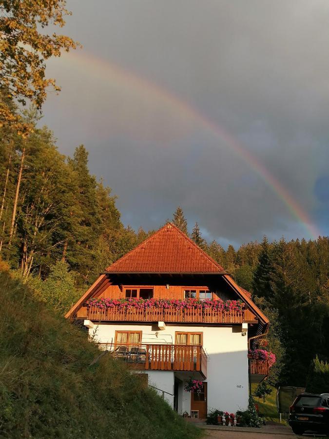 Ferienwohungen Im Kuchersbach Hornberg Bagian luar foto