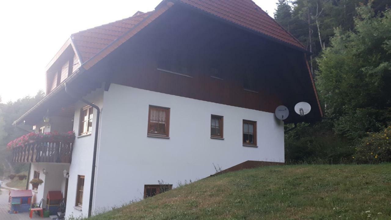 Ferienwohungen Im Kuchersbach Hornberg Bagian luar foto
